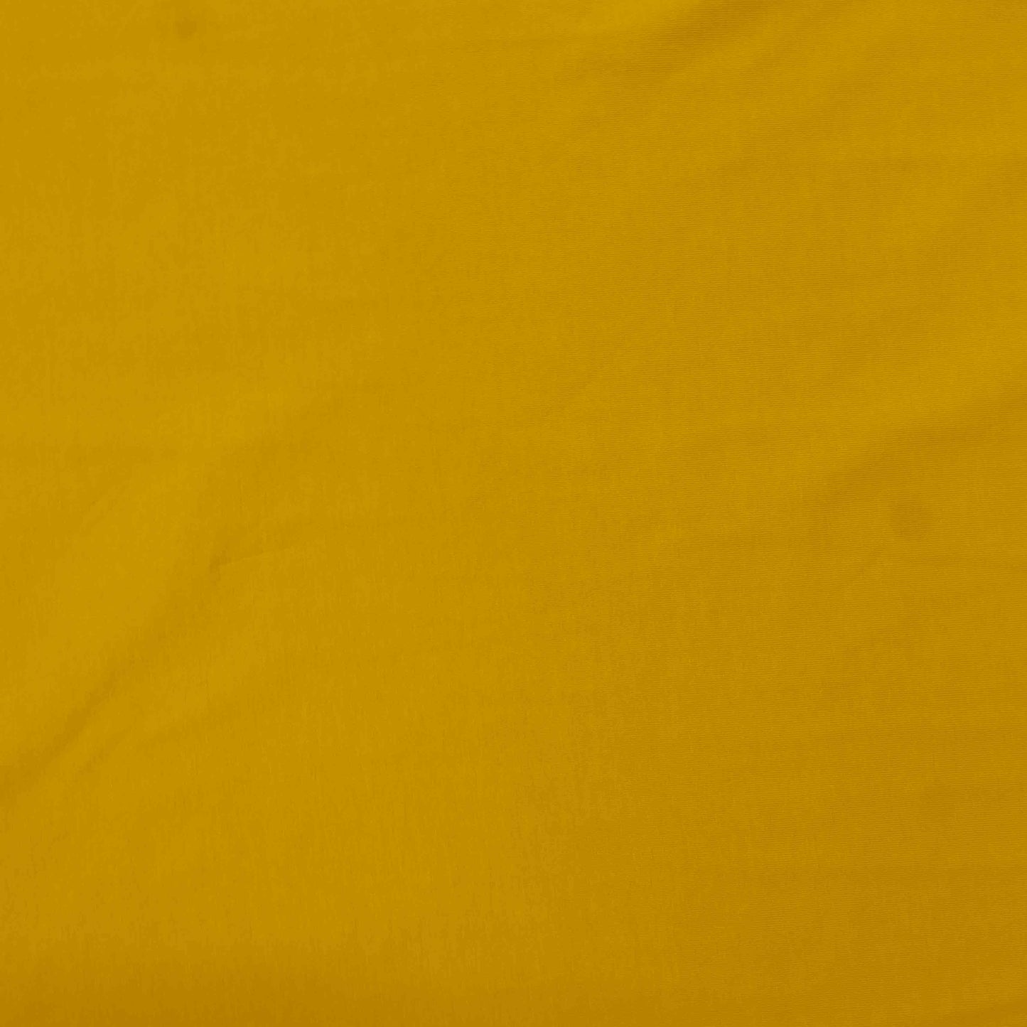 Cotton Jersey - Mustard