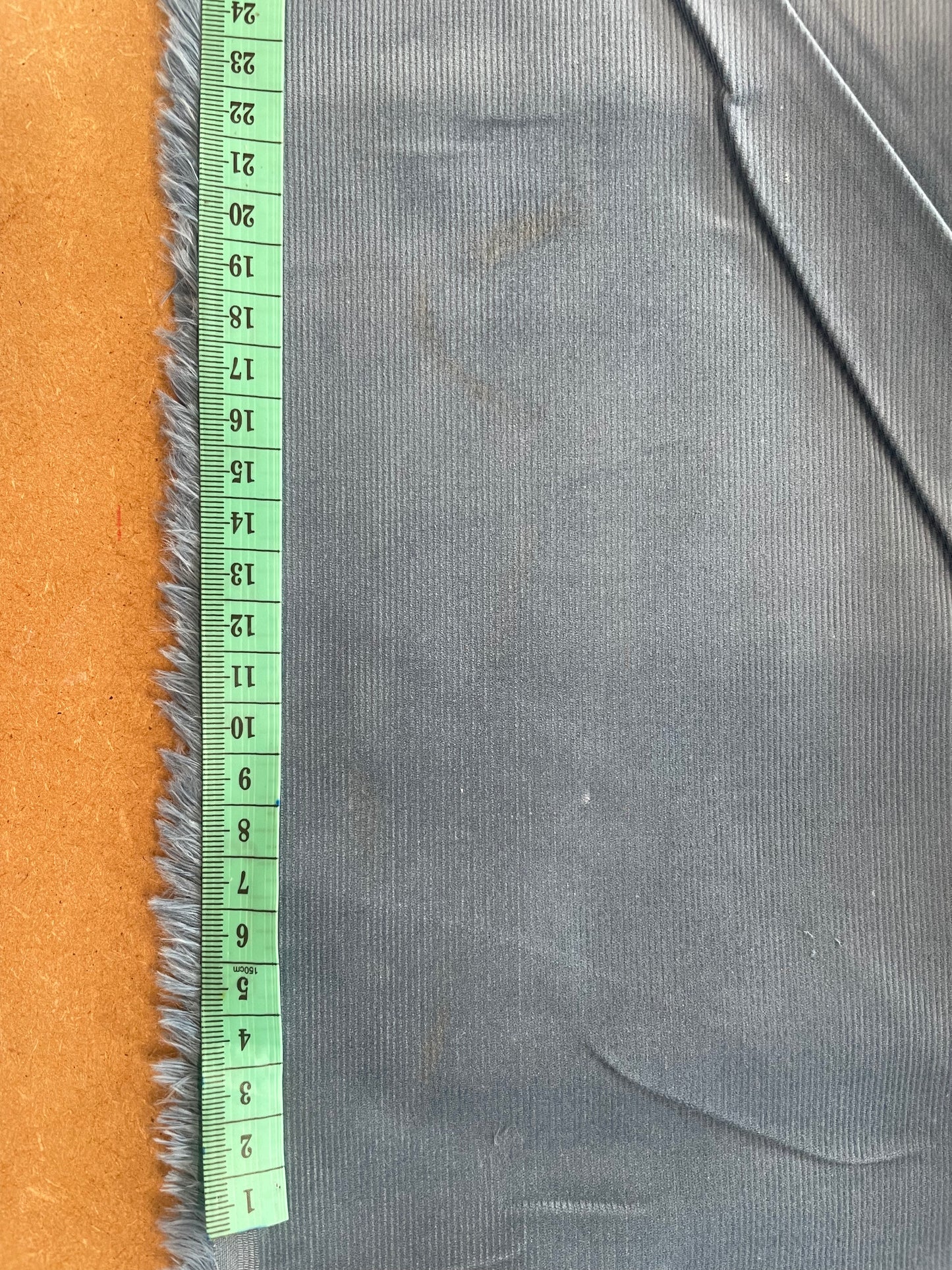 Needlecord Remnant B27