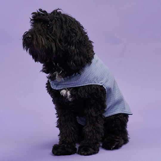 Poppy Dog Coat PDF Sewing Pattern