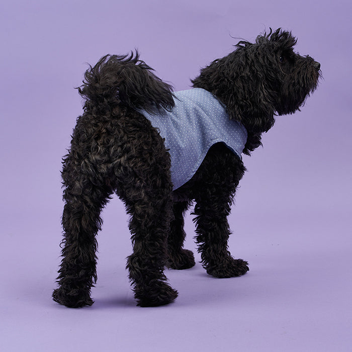 Poppy Dog Coat PDF Sewing Pattern