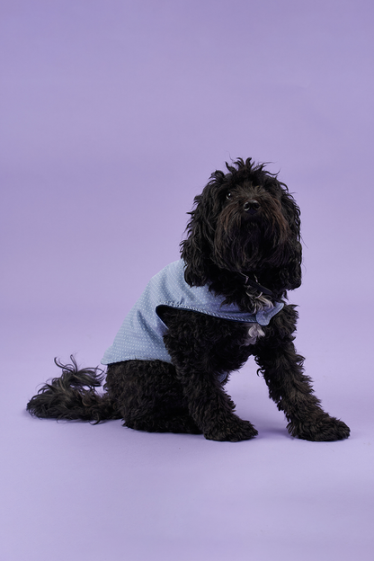 Poppy Dog Coat PDF Sewing Pattern